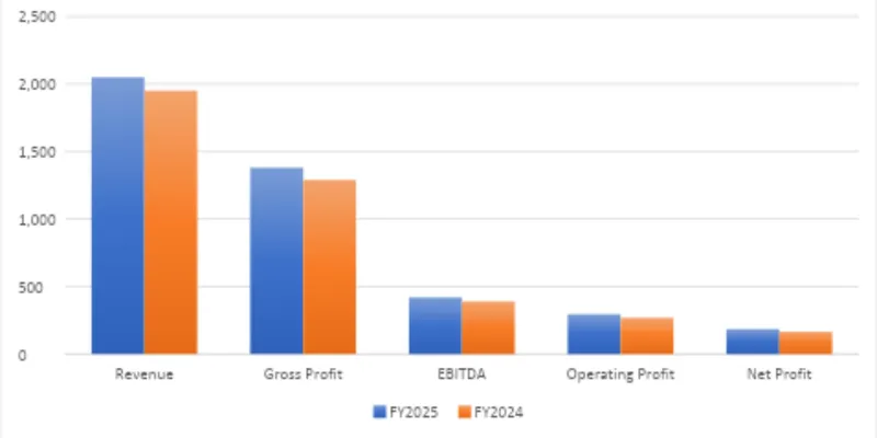 Financial Summary Table